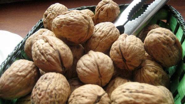 Nueces Nueces