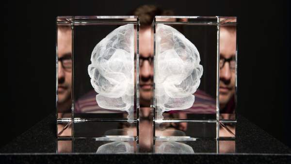 Cerebro Cerebro