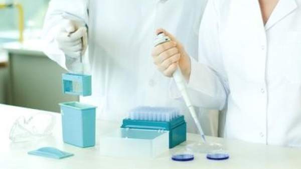 Investigadores Investigadores
