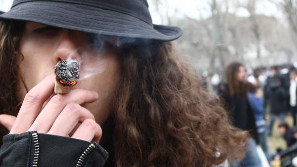 Cannabis Cannabis