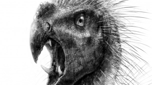 Dinosario enano Dinosario enano