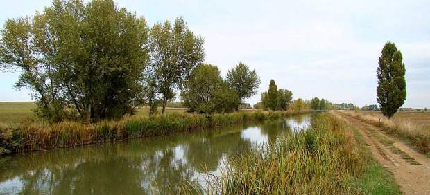 Canal de Castilla