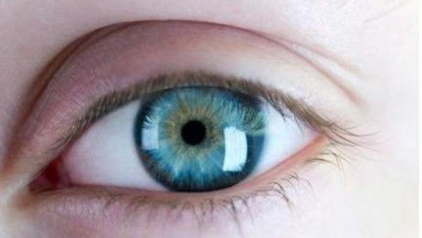 Ojo Ojo