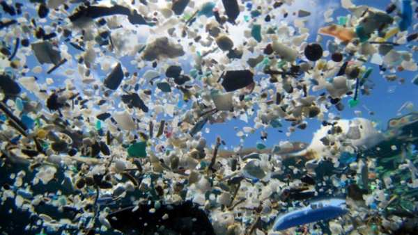 'Plastiksuppe, in kleine Stücke aufgebrochene Plastikteile' 'Plastiksuppe, in kleine Stücke aufgebrochene Plastikteile'