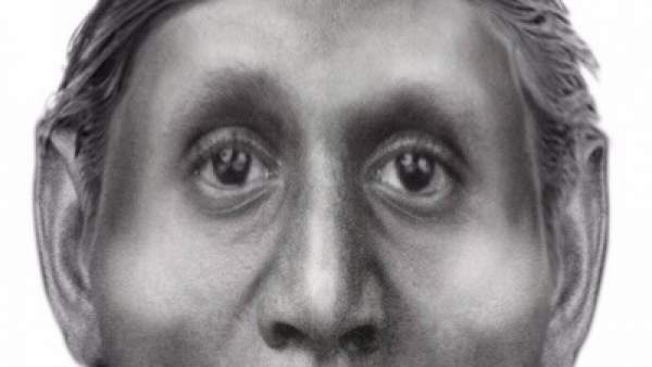 Homo floresiensis Homo floresiensis