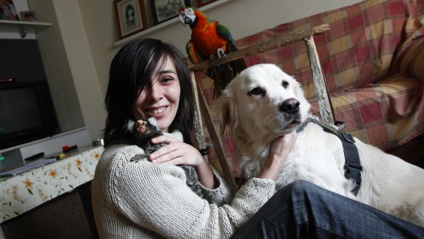 La venta de animales de Ana Belén La venta de animales de Ana Belén