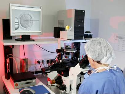 Fecundación in vitro