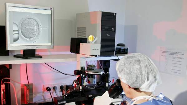 Fecundación in vitro Fecundación in vitro