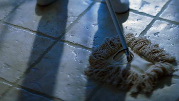 seguridad laboral de empleados del hogar seguridad laboral de empleados del hogar