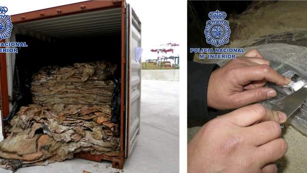 Incautan 227 kilos de cocaína Incautan 227 kilos de cocaína