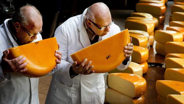 En busca del mejor queso artesanal en Holanda En busca del mejor queso artesanal en Holanda