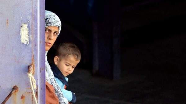 Refugiados Refugiados