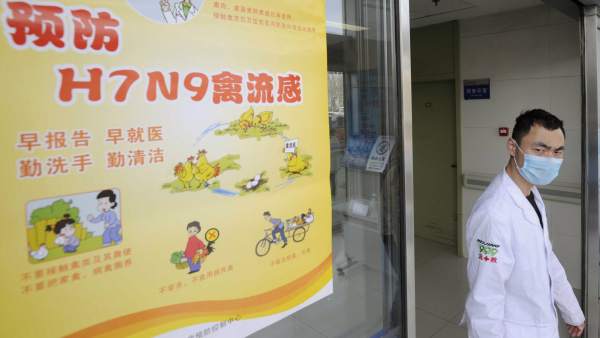Virus H7N9, gripe aviar Virus H7N9, gripe aviar