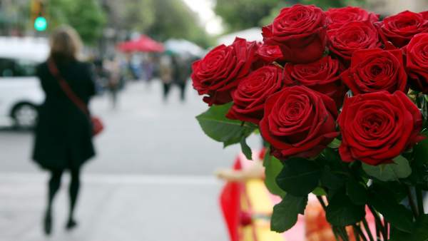 Roses Roses