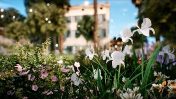 Flores Flores