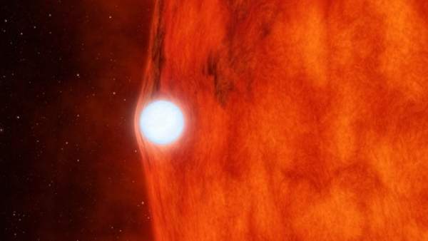 Una pareja de Estrellas Una pareja de Estrellas