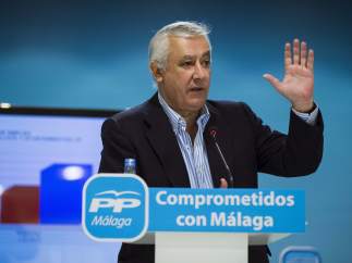Javier Arenas
