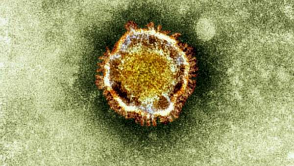 Coronavirus Coronavirus