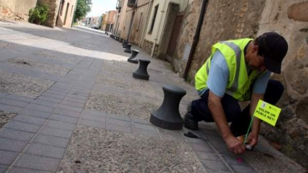 Campaña contra cacas perro Campaña contra cacas perro