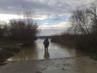 Camino de Santiago