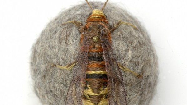 'Detail from Hornet Ball' 'Detail from Hornet Ball'