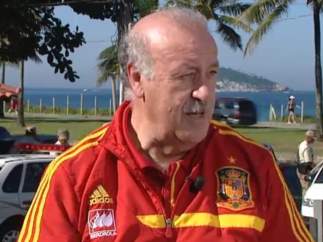 Vicente Del Bosque
