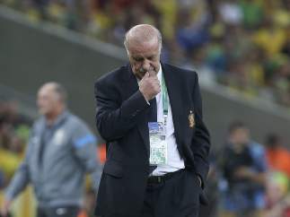 Del Bosque, pensativo