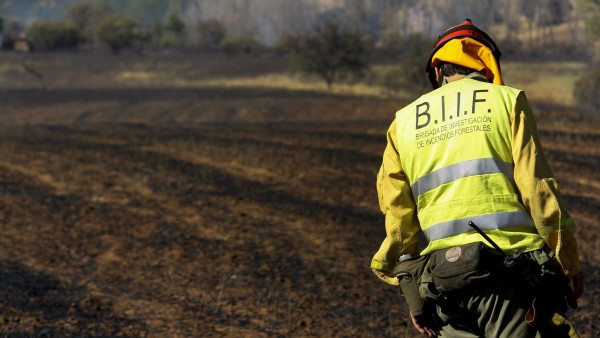 Incendio forestal Incendio forestal