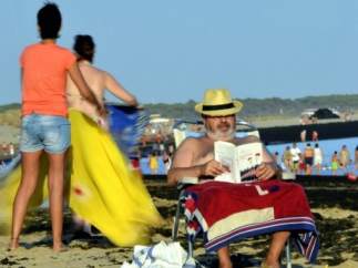 Algas en la playa