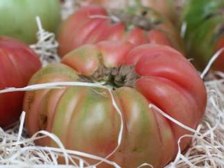 Tomate Rosa