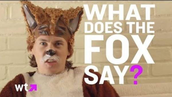 The Fox The Fox