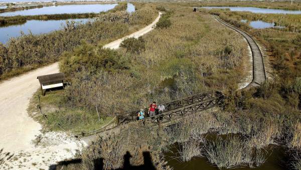 La Albufera de Valencia, en vías de recuperación La Albufera de Valencia, en vías de recuperación