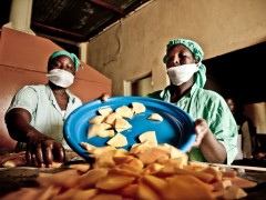 Mango en Burkina Faso