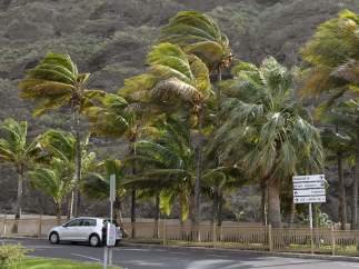 Temporal en Canarias