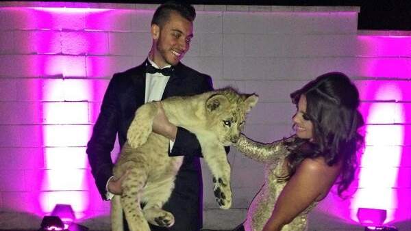 Un león en la fiesta de Kiko Rivera Un león en la fiesta de Kiko Rivera