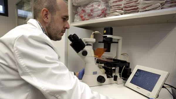 Investigación contra el cáncer Investigación contra el cáncer