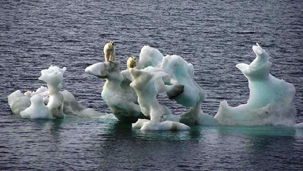 Cambio Climático Cambio Climático