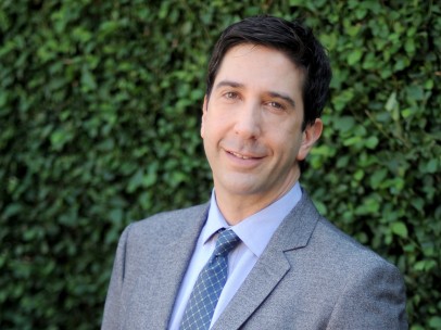 David Schwimmer