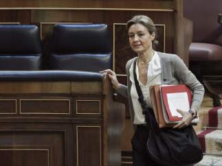 Isabel García Tejerina