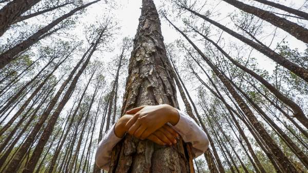 DÃ­a Mundial del Medio Ambiente