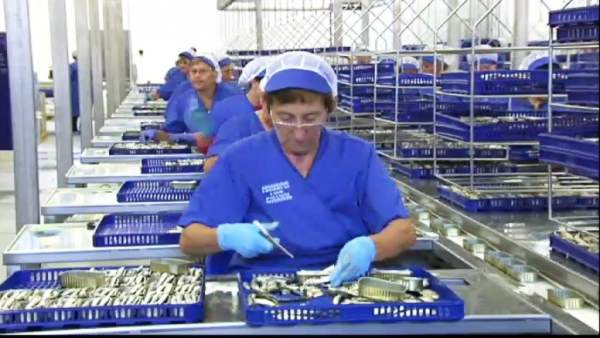 Mujeres trabajadoras Mujeres trabajadoras
