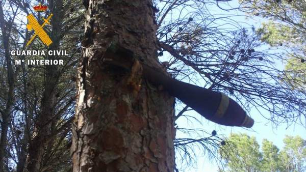 Bomba de la guerra civil incrustada en un árbol desde hace 70 años Bomba de la guerra civil incrustada en un árbol desde hace 70 años