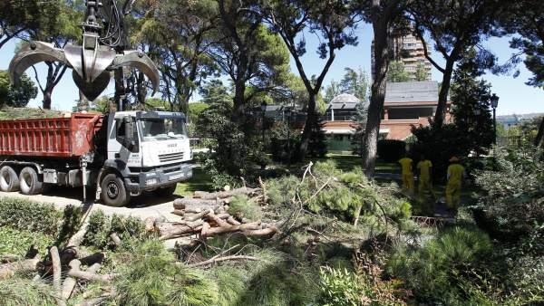 El Ayuntamiento de Madrid cierra El Retiro y otros parques ante el riesgo de caída de árboles 187703-600-338
