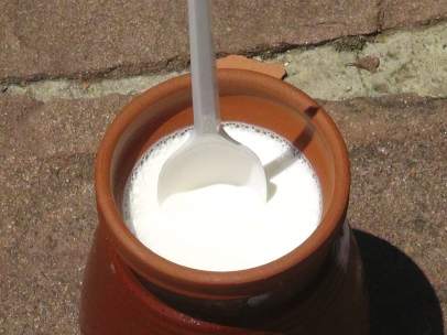 Yogur búlgaro