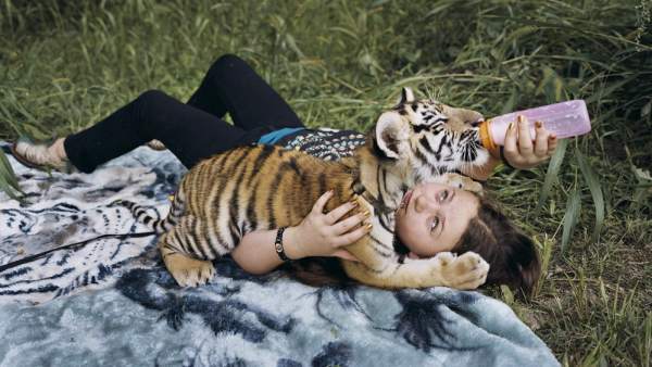 'Amelia & the Animals' 'Amelia & the Animals'