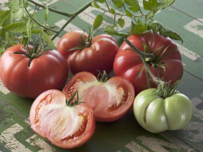 Tomates