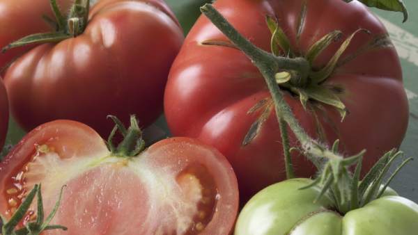Tomates Tomates