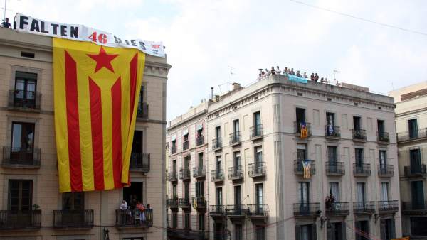 'Estelada' gigante 'Estelada' gigante