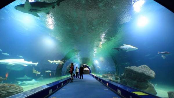 el-oceanogr-fic-leguas-de-viaje-submarino-en-valencia