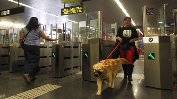 Barcelona 'abre' el metro a los perros Barcelona 'abre' el metro a los perros